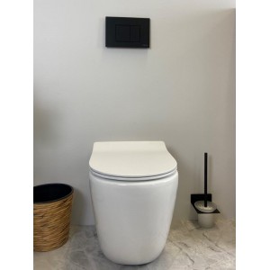 Raul 99 Rimless Floor-mount Toilet Pan Only